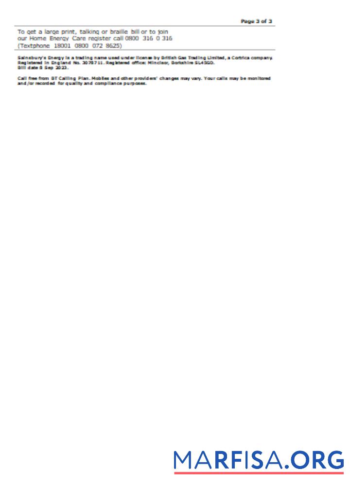 Blank Sainsbury Energy (British Gas) business utility bill, page 3. SCR real example